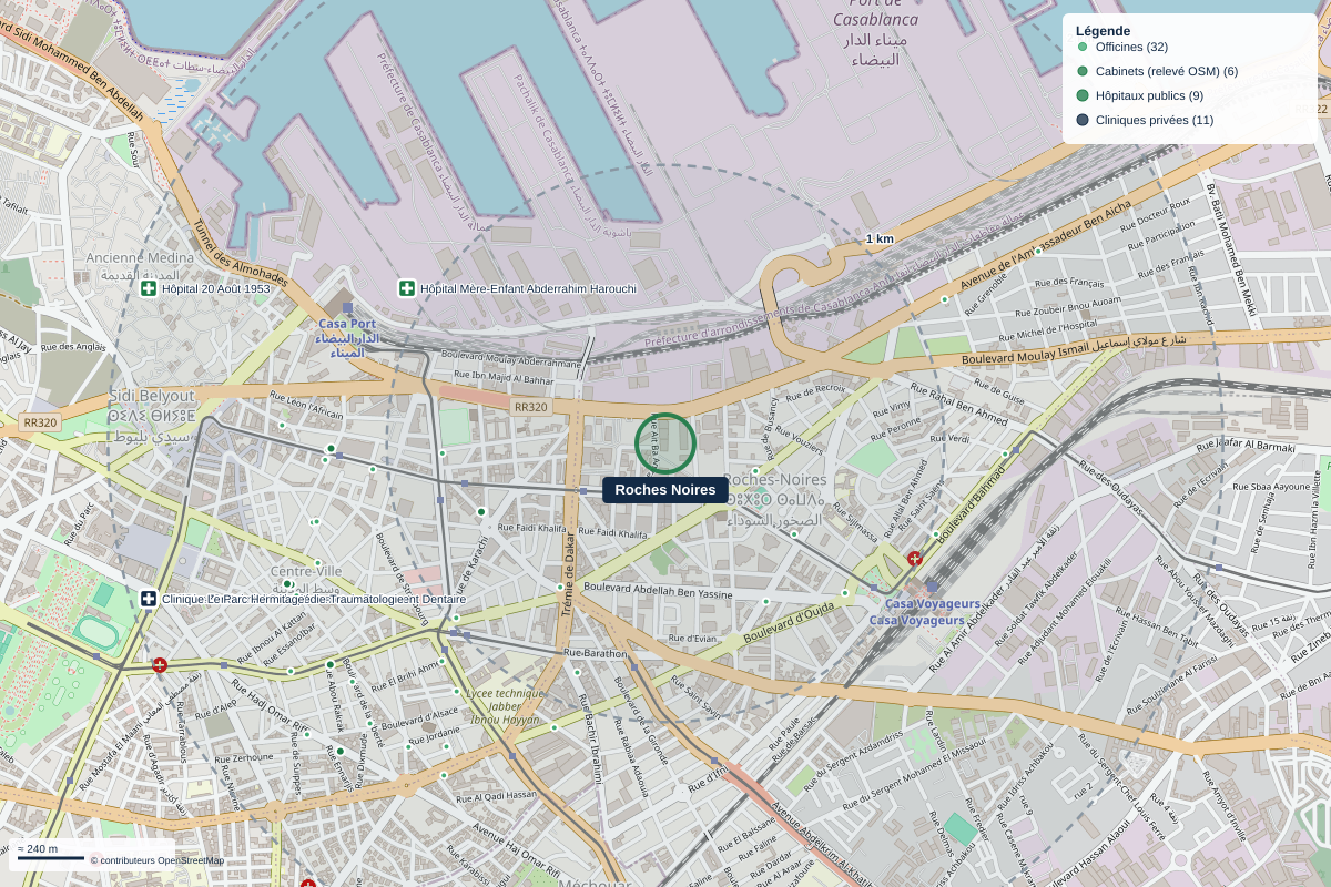 Carte du quartier Roches Noires